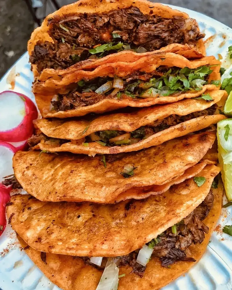 Stack of birria tacos on a plate